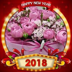 Meet your Posher, Dija